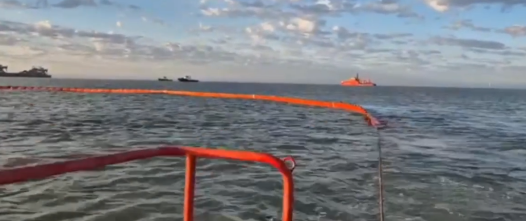    Фото: Минтранс России Алена Калашникова