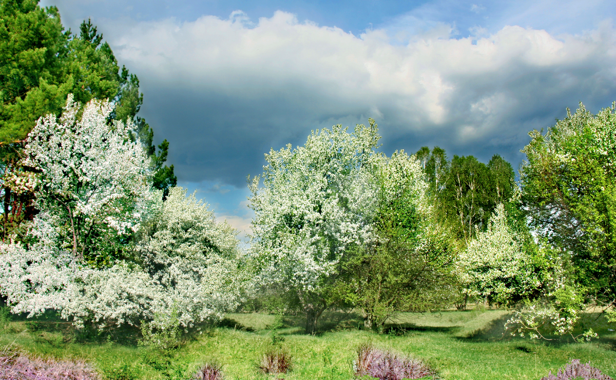 Фотография, стихотворение Василия Глуцкого