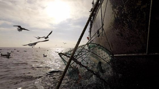     Фото: ГК «Русский Краб»