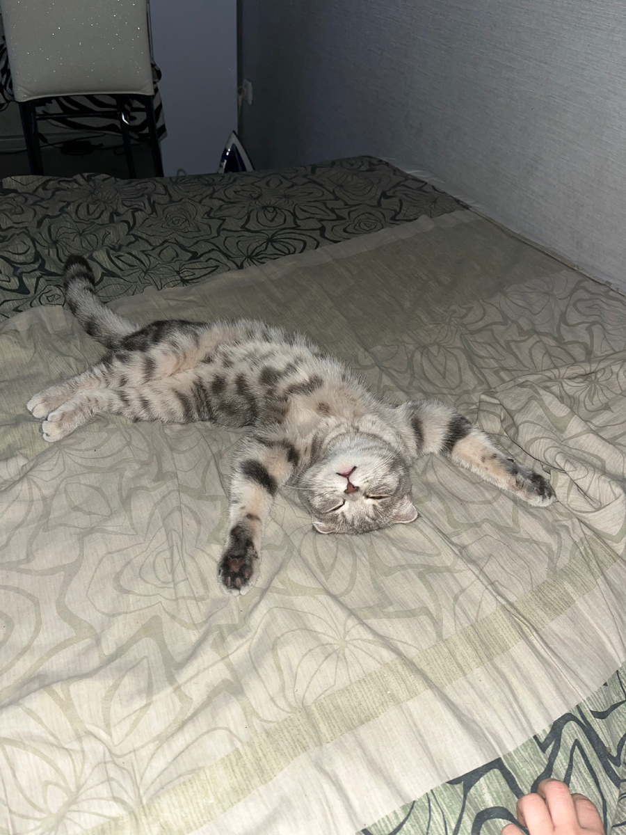 Так она у нас спит