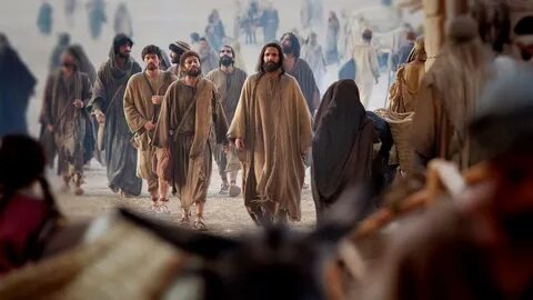 Из открытых источников Яндекса.