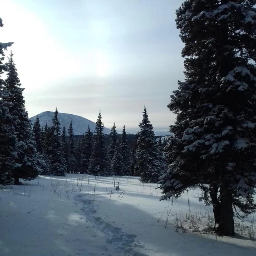 Фото: пресс-служба областной ПСС