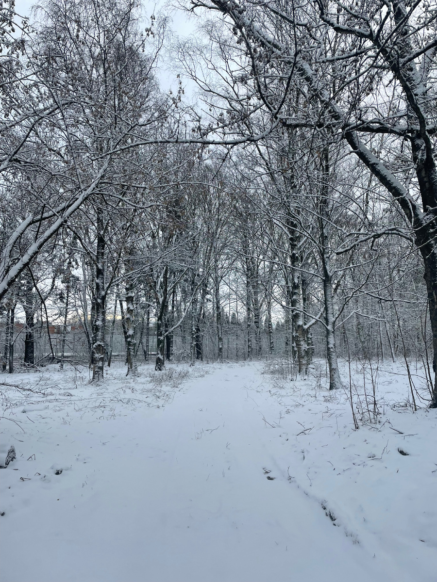 Красиво? Нет, холодно…