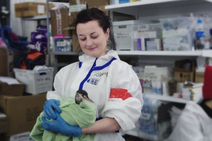    оперативный штаб Краснодарского края