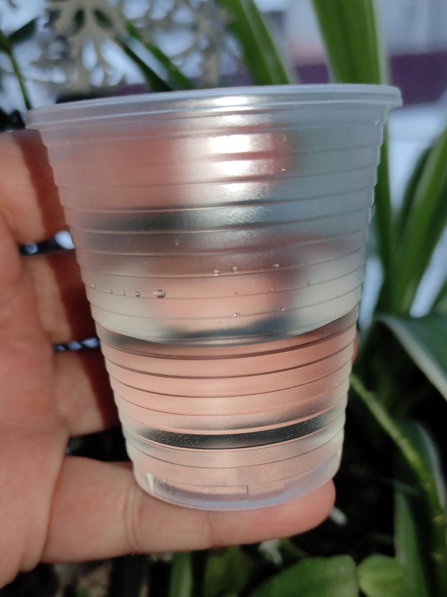 До прогревания, если приблизить фото, видно много мелких пузырьков воздуха.