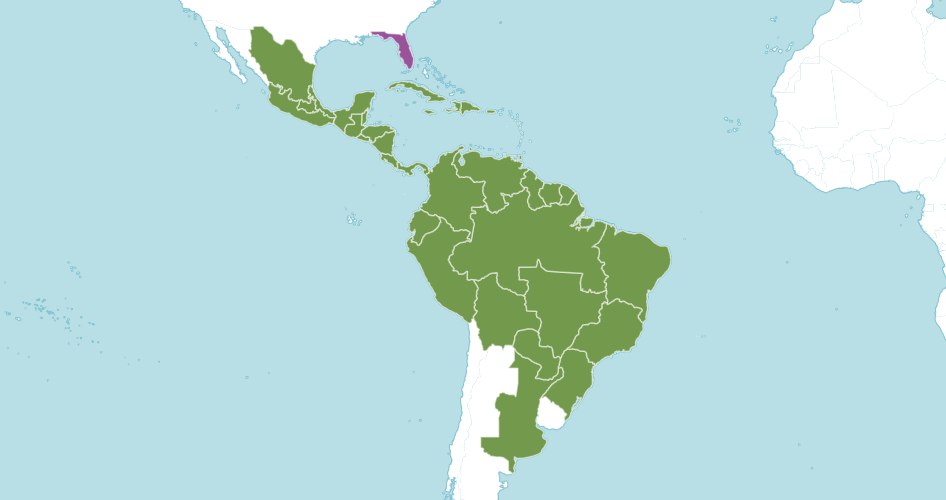 Карта распространения Anturium. Фото: https://powo.science.kew.org