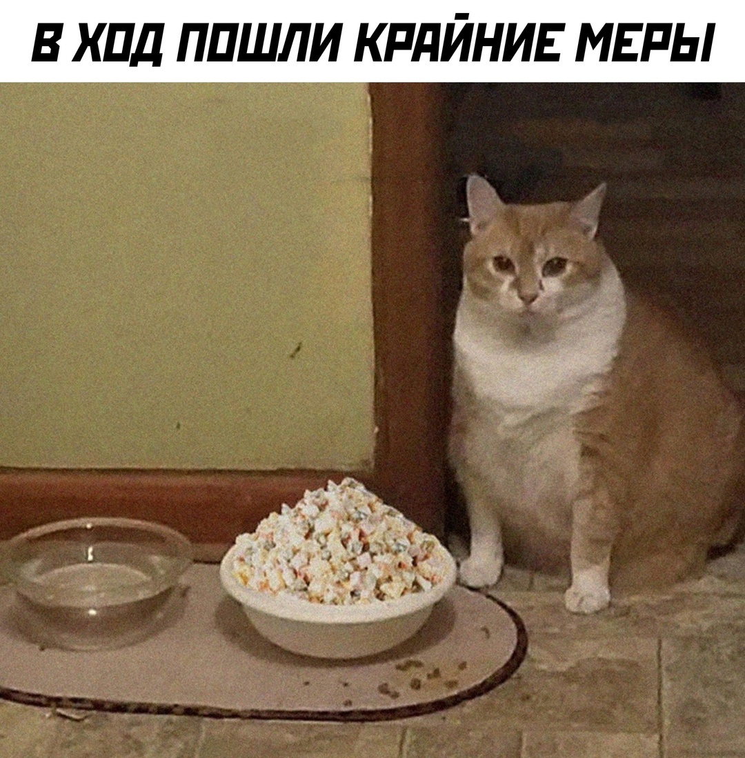 1 все норм