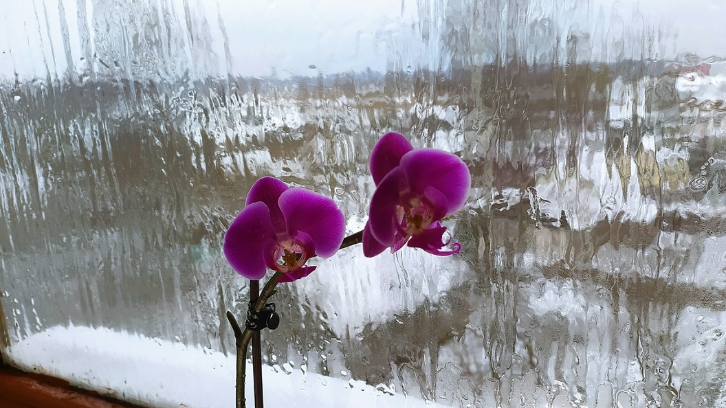    Фото: Victor Lisitsyn/Globallookpress.