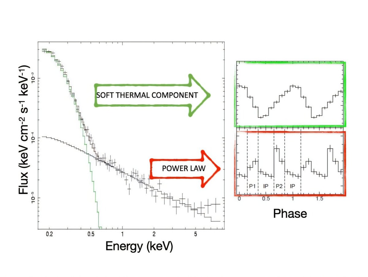 Рентгеновский спектр (слева) и профили импульсов в двух энергетических диапазонах (справа) HD 49798/RX J0648.0–4418.    
 Источник: arXiv (2024). DOI: 10.48550/arxiv.2412.18546  📷
