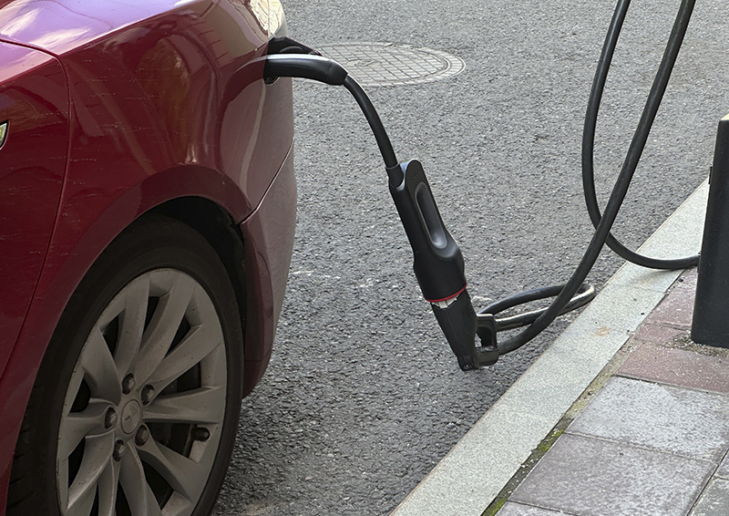 Фото © «Московская газета»