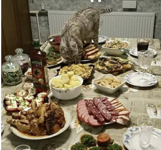 - Я вам праздник освежу.