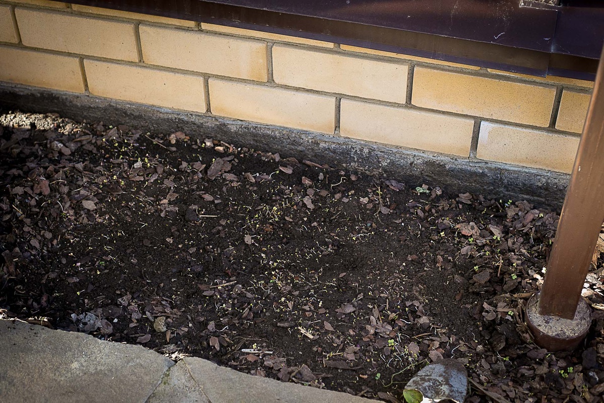 Автор Елена Якимова / Greenfingers