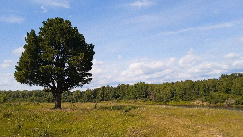 Санкино. Фото с сайта https://yandex.ru/maps/?ll=62.597877%2C58.475262&mode=poi&photos%5Bbusiness%5D=215724827067&photos%5Bid%5D=urn%3Ayandex%3Asprav%3Aphoto%3Am-BLu6yhBMv3fk54HZb94lSfxLwE9m&poi%5Bpoint%5D=62.592353%2C58.479981&poi%5Buri%5D=ymapsbm1%3A%2F%2Forg%3Foid%3D215724827067&source=serp_navig&tab=gallery&z=14.09. Взято с Яндекс.Картинки
