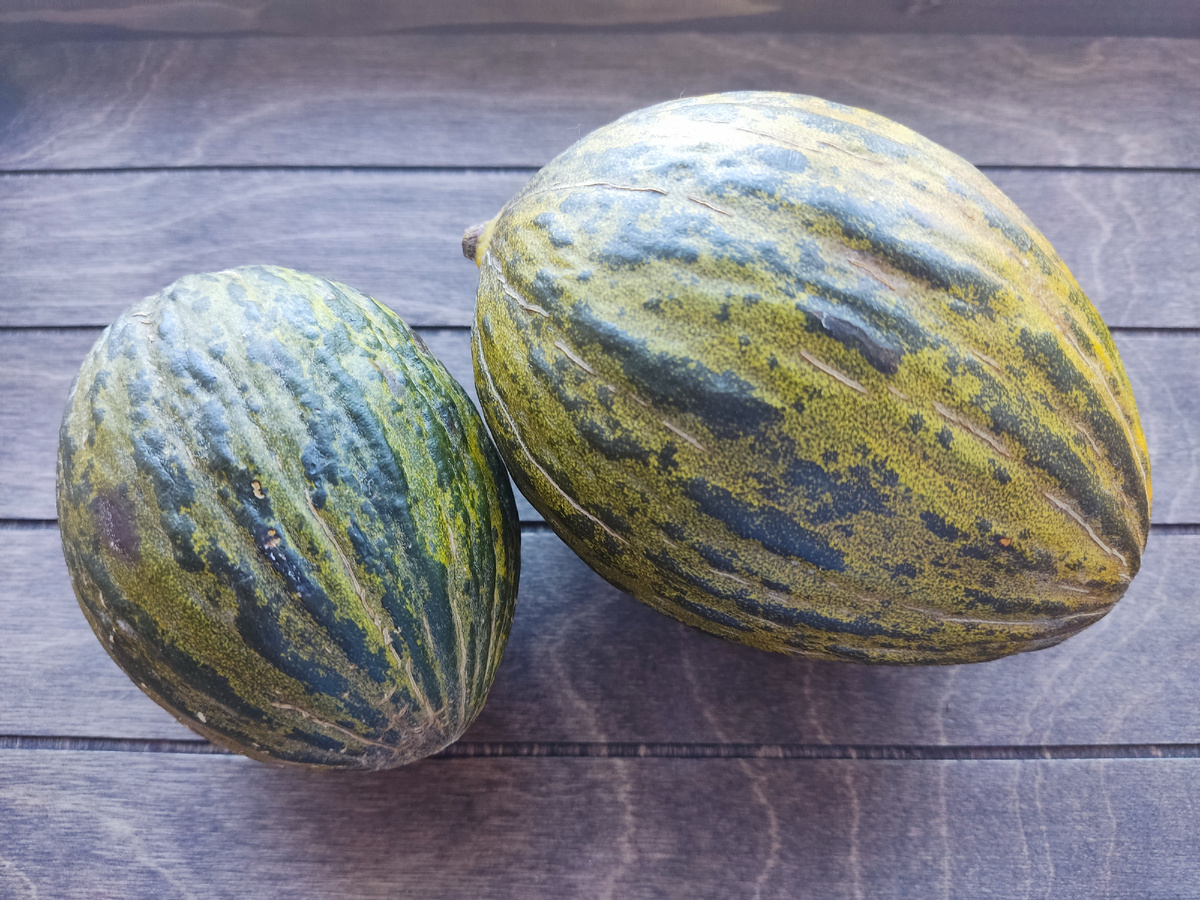 Самый стойкие. Многие сорта не выдержали длительного срока хранения.