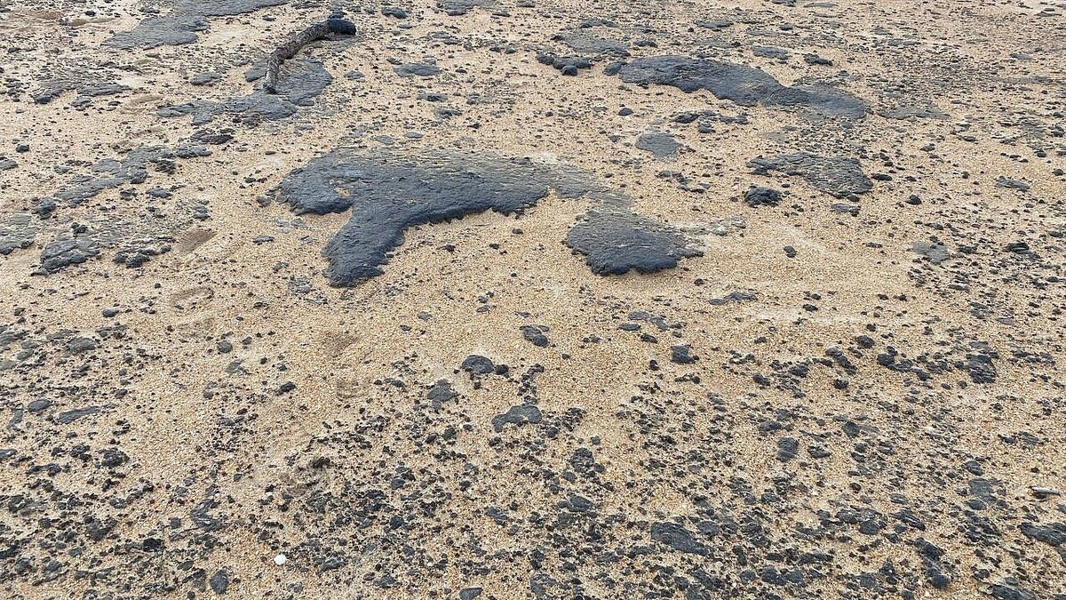    Фото: телеканал «Краснодар»