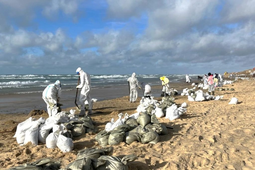    Фото: admkrai.krasnodar tamannews