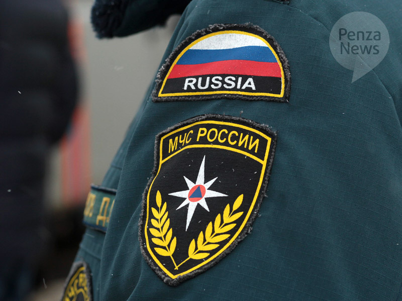    © Фото из архива ИА «PenzaNews»