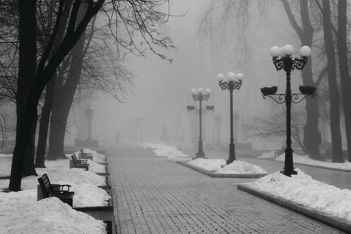 Зимняя погода в России отличается большим количеством пасмурных дней, солнечного света недостатоно...