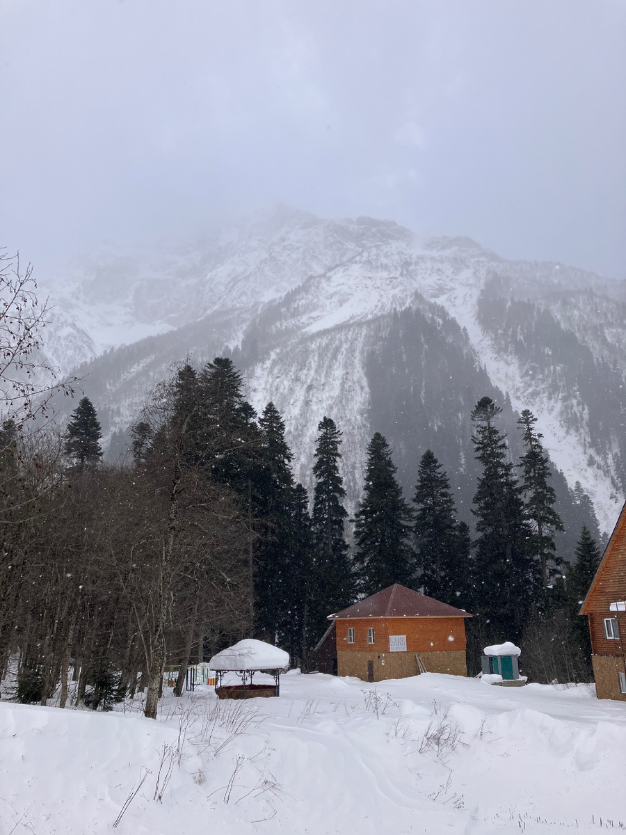 Волшебная природа