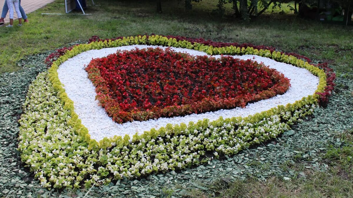     Источник: 1MI