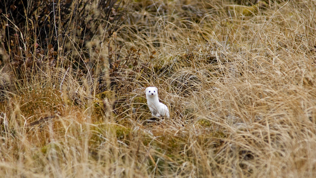    Фото: Victor Lukarevskiy/Globallookpress