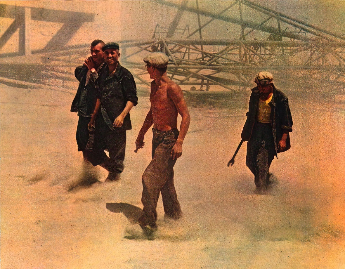 «В пустыню пришла жизнь» Семён Фридлянд 