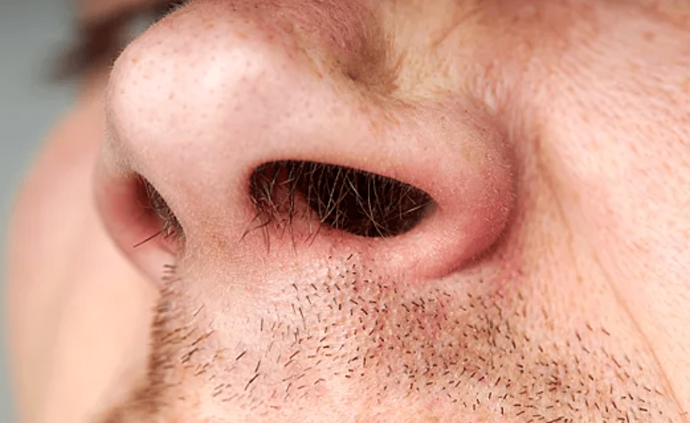    Волосы выполняют функцию фильтра, задерживая мелкие частички, не давая им попасть в дыхательные пути. Источник: woman.rambler.ru