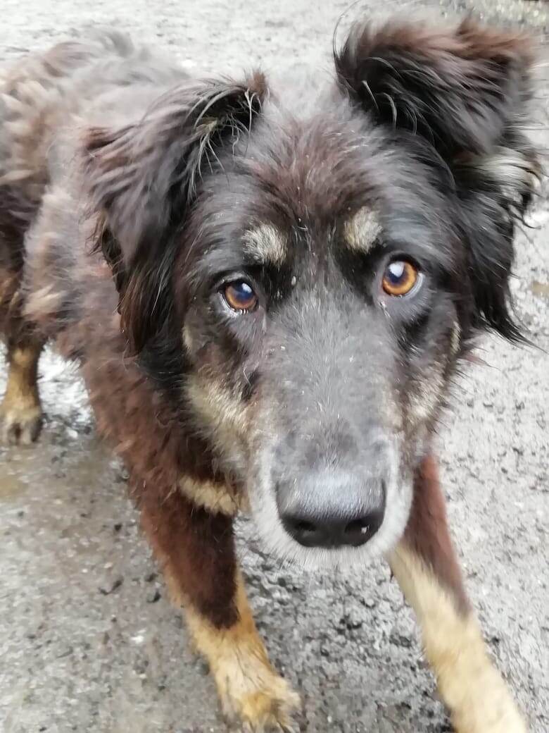 Нельзя сказать, что я больая невезуха. Ведь у меня есть мои девчата и вы