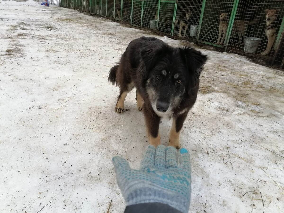 Ой. Ну я герой! Руку перестала бояться