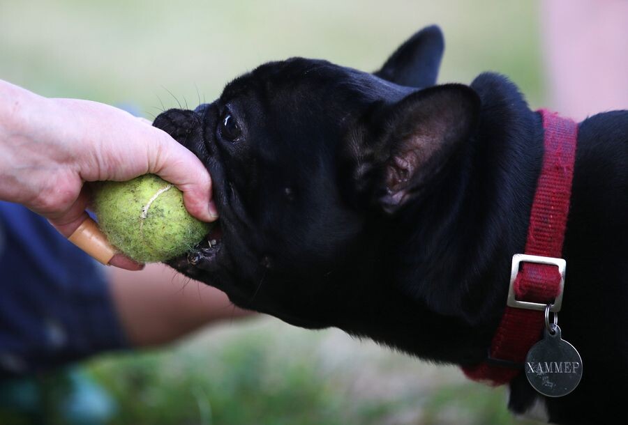     / Источник: © ITAR-TASS