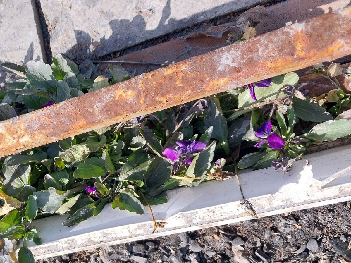 6 апреля. "Через тернии к звёздам"