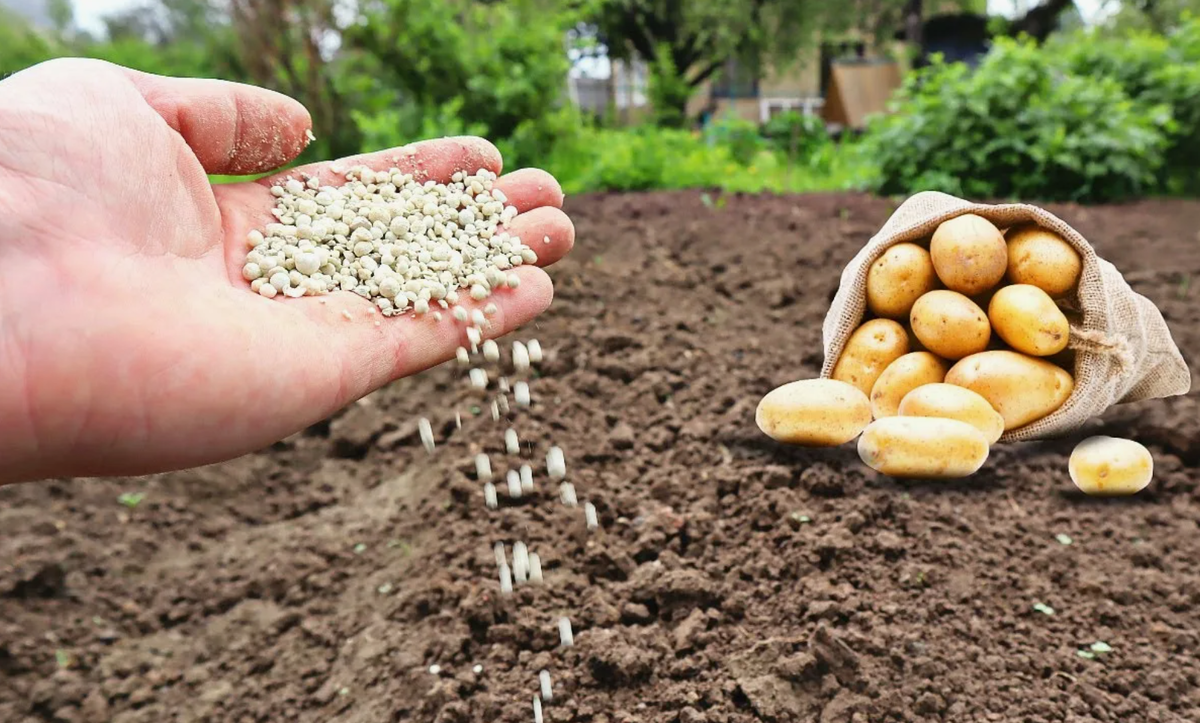 Источник фото: youtube.com