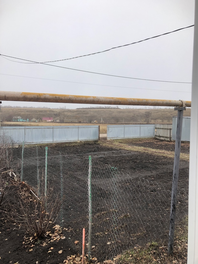 3 января 2025 г.