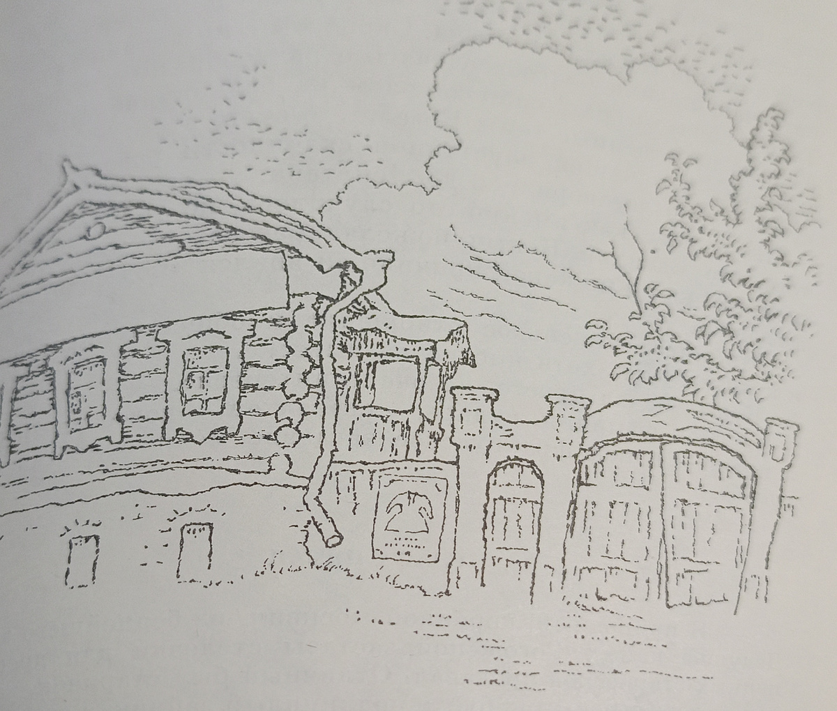 Фото автора. 