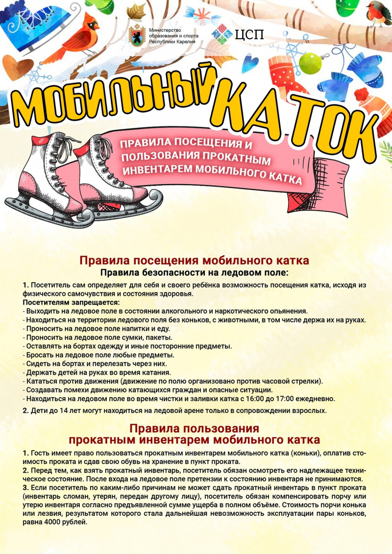    Опубликован режим работы катка на площади Кирова в ПетрозаводскеМой дом / Ситилинк