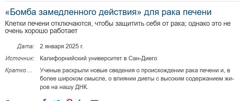 скрин исследования / Другая Кухня