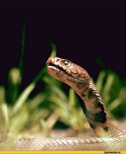 Фото: otvet.mail.ru