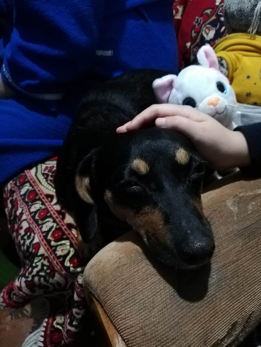 Наелась и ей хорошо)