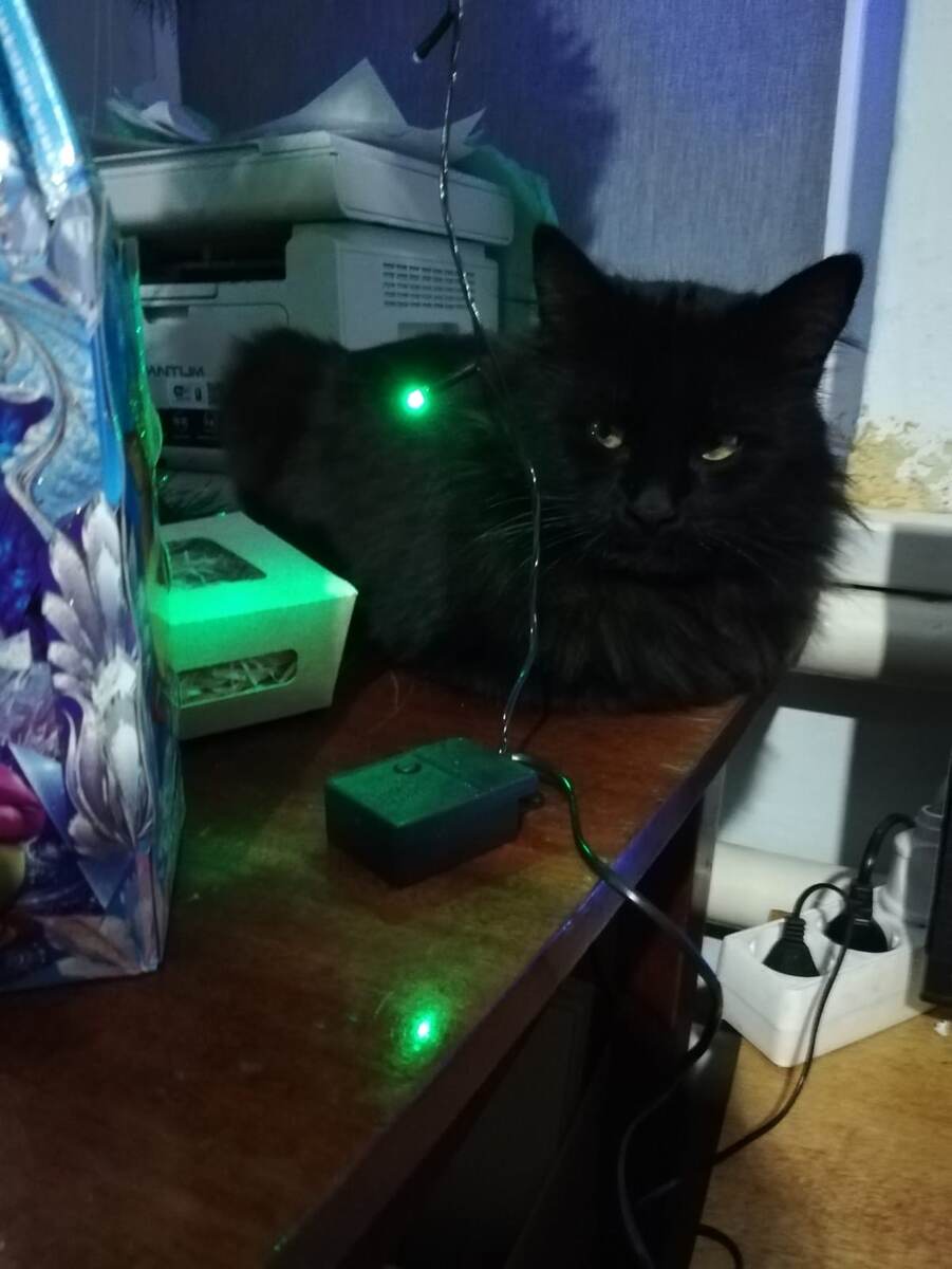 А гирлянду эту мы разъясним...