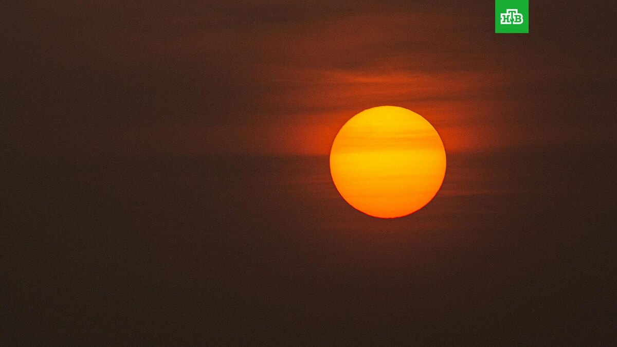    Фото: Vivek Doshi / unsplash.com