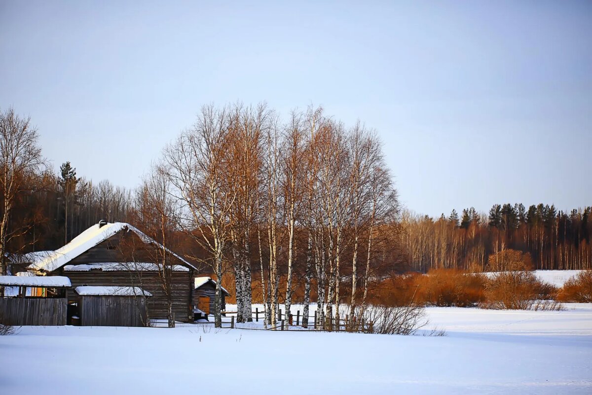 @kichigin / freepik.com