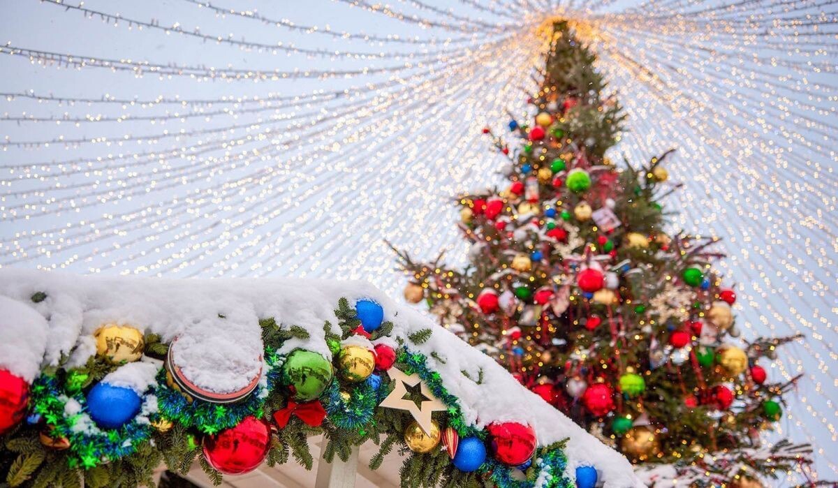     "Москино". Источник: mos.ru Автор фото: Пресс-служба Мэра и Правительства Москвы