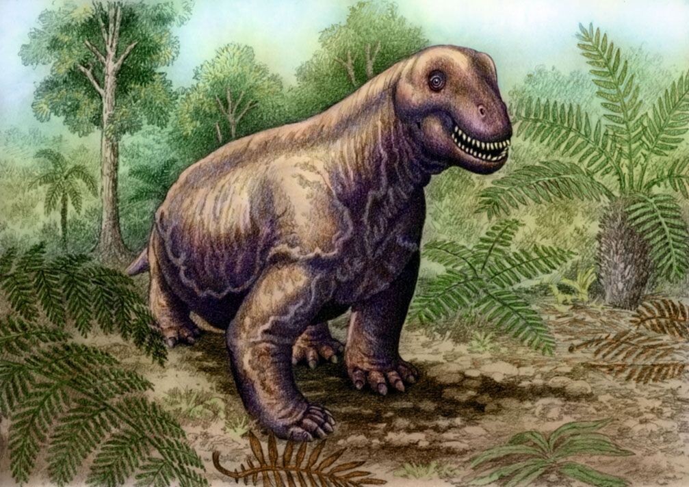 Растительноядный гигант мосхопс из Южной Африки.