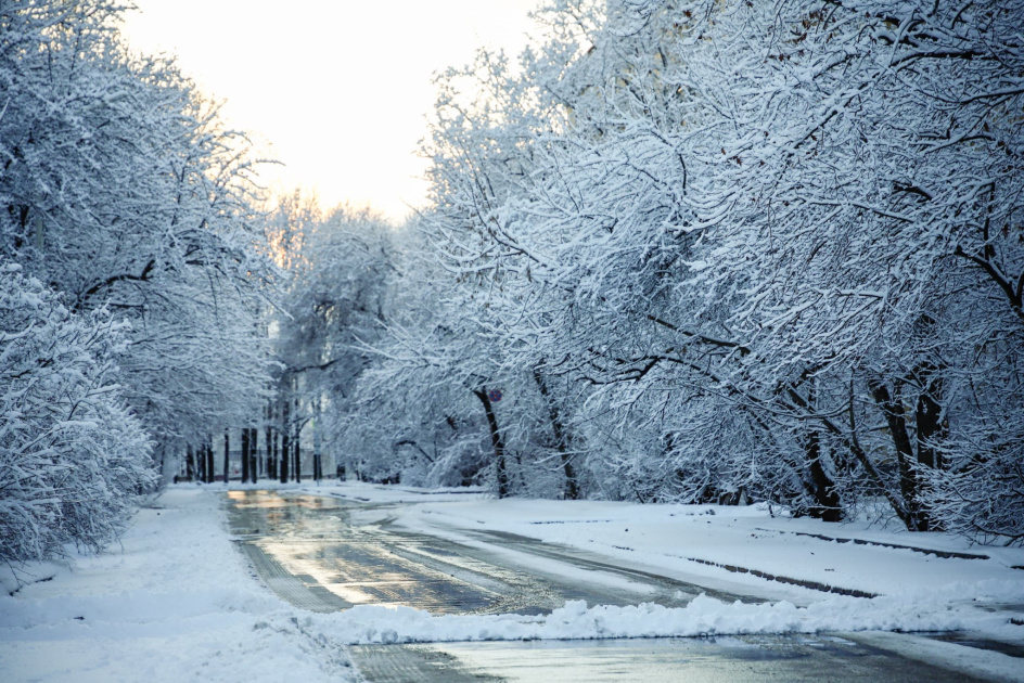    Изображение МГУ 