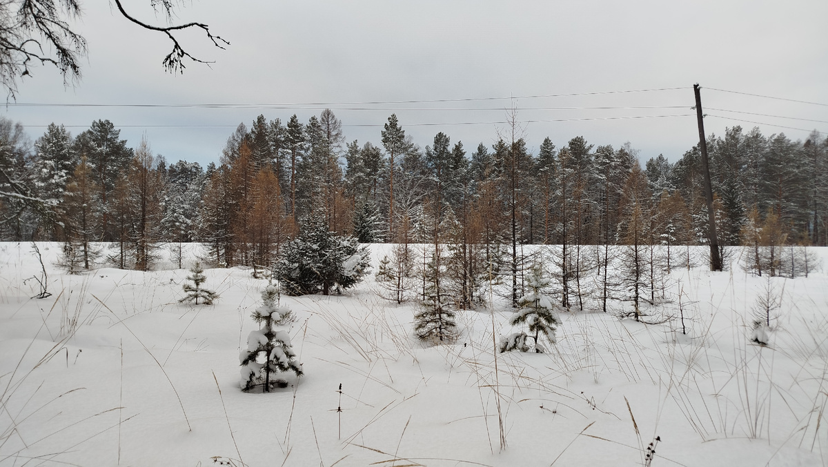 Дорога к пещере вдоль жд путей