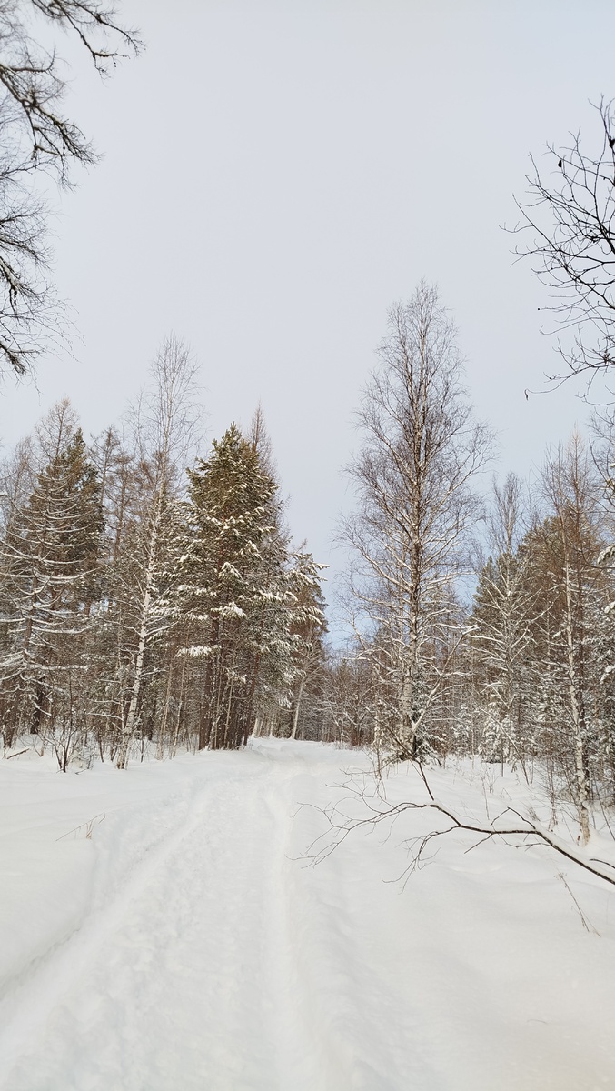 Дорога к пещере