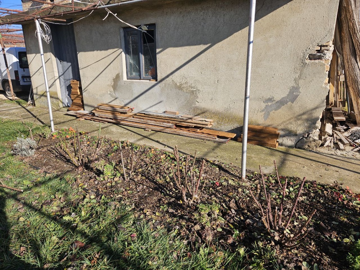 Обрезала розы в цветнике возле газона