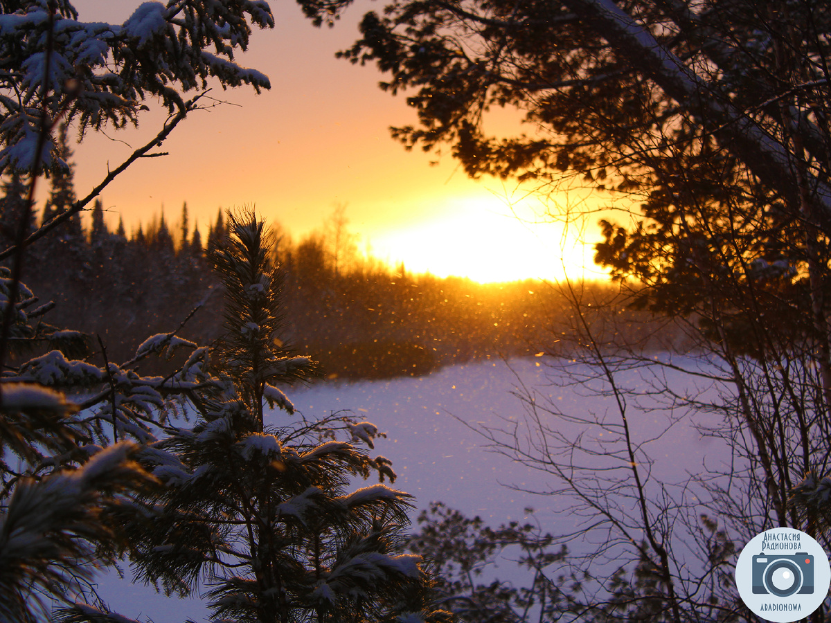 Красивый зимний закат. Фотограф Анастасия Радионова