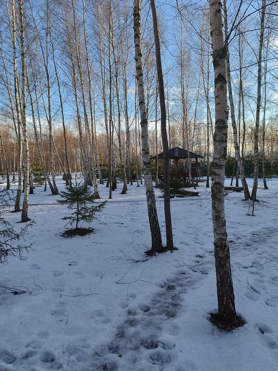 Вчера светило солнце. Еще бы снега побольше...