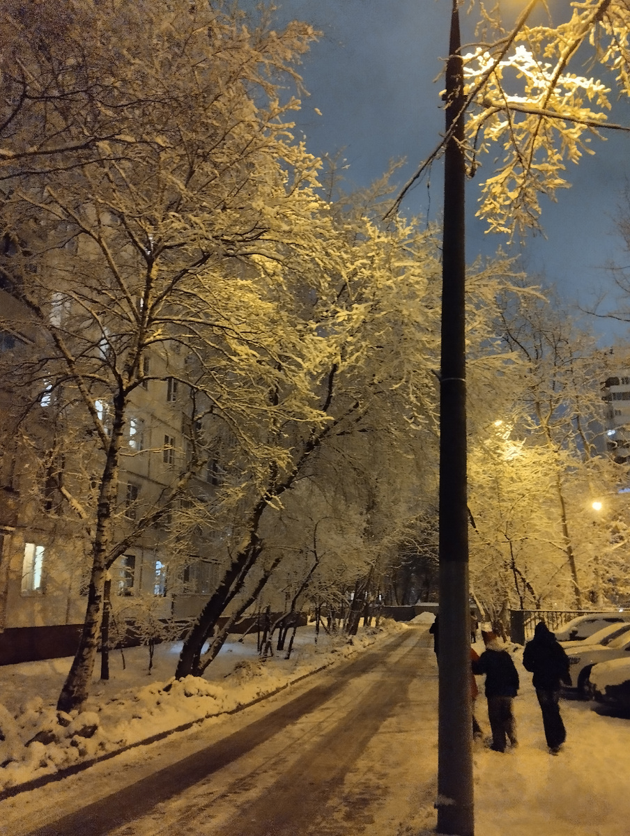 Фото автора. 31 декабря 2024 г. Москва